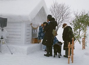 個別犬っこお祓い