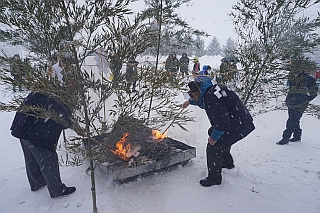 個別犬っこお祓い