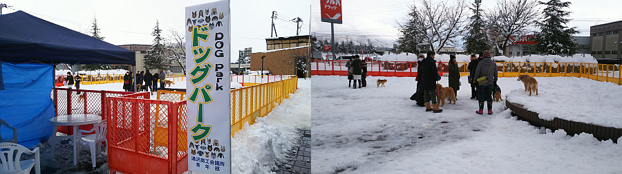ドッグパーク